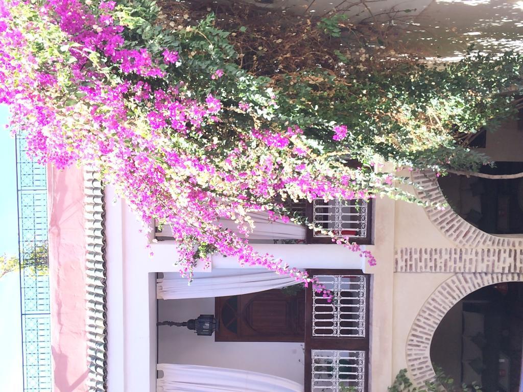 Riad Dar Palmyra Marrakesh Exterior foto