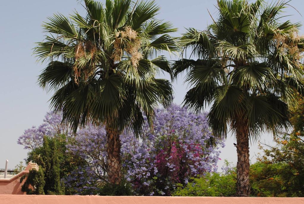 Riad Dar Palmyra Marrakesh Exterior foto